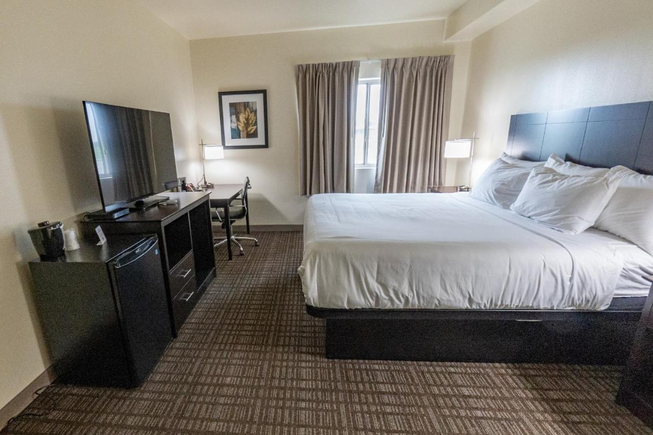 Cobblestone Hotel & Suites-Sheldon المظهر الخارجي الصورة